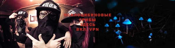 прущие крисы Осинники
