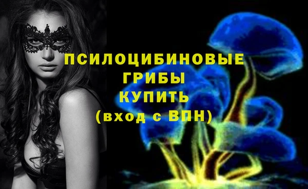 прущие крисы Осинники