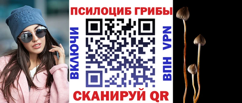 Галлюциногенные грибы Magic Shrooms  Разумное 